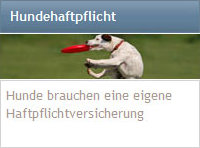 Hundehaftpflicht Vergleich