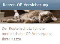 Katzen-OP-Versicherung Vergleich